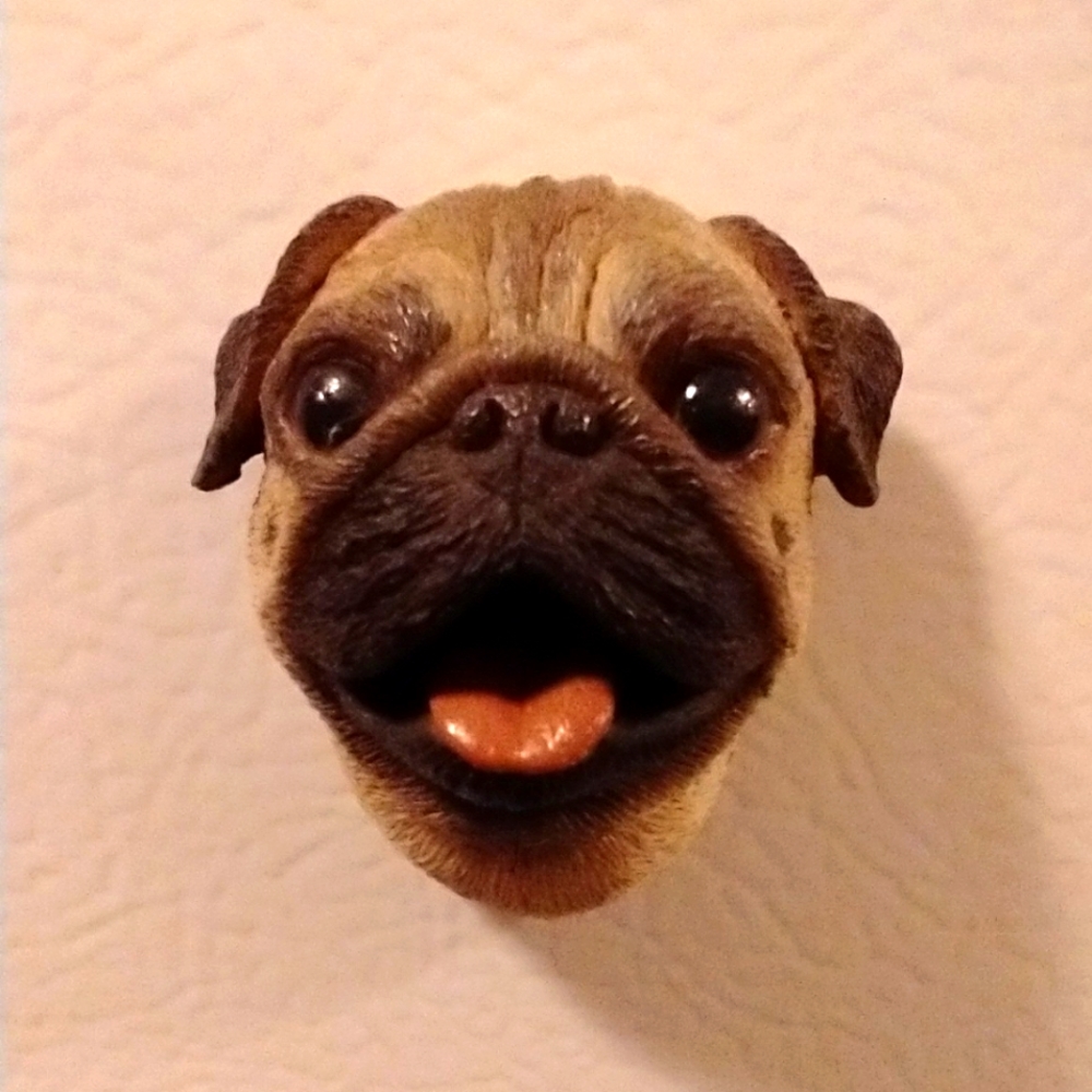 Pug Magnet